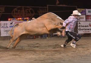 1 bull fighter_2868